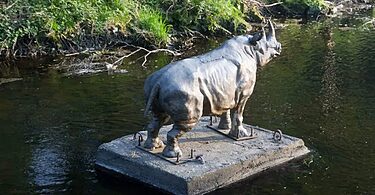 Dublin Rhino